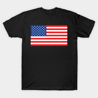 Stars and Stripes 2 T-Shirt